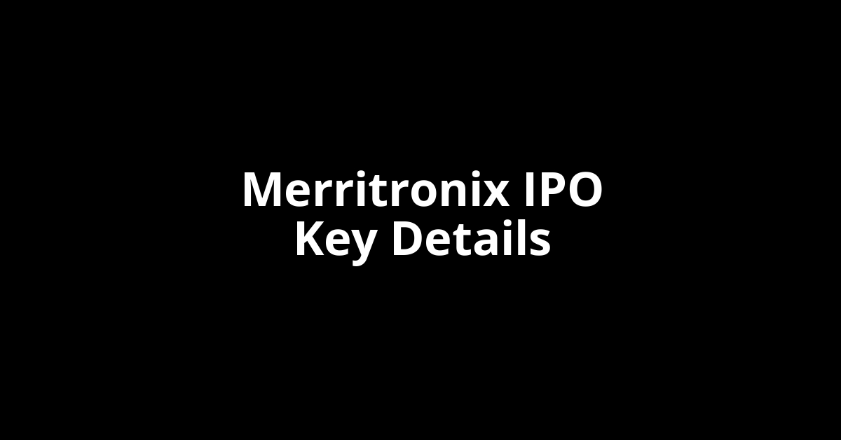 merritronix ipo key details